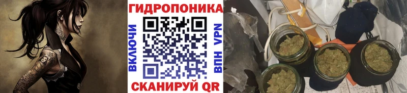Бошки Шишки индика закладки Дубовка